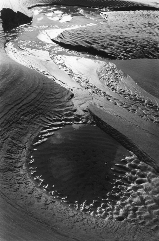 Camel Estuary 2Rock,Cornwall,sand pattern,abstract,gelatin silver print
