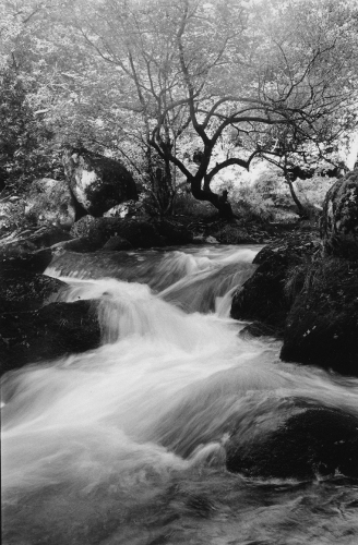 Walkham Valley,Waterfall,Dartmoor,gelatin silver print