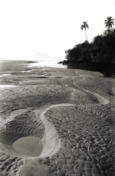 Agonda Beach,Goa India,Landscape,gelatin silver print