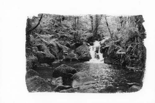 Colley Brook, Peter Tavy,Dartmoor, silver emulsion print